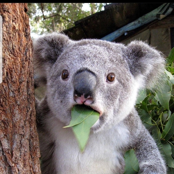 Meet your Posher, Andrea - Picture 1 of 1